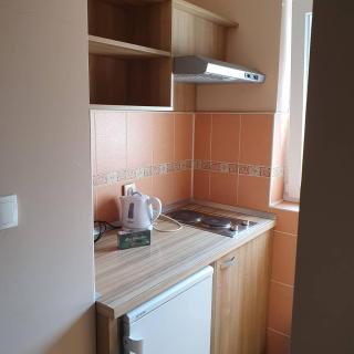 Luksuzni Apartmani Mitić-Lavanda - Soko Banja - 1