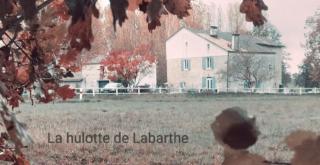 La hulotte de Labarthe - 2