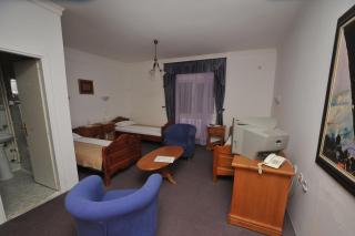 Hotel Zeleni Vir - Niš - 8