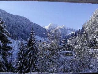 Appartement 2 pièces 4-6 pers, balcon, piscine, centre Arêches-Beaufort - FR-1-342-136 - 1