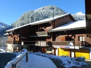 Appartement rénové au cœur d'Arêches-Beaufort, proche pistes, balcon plein sud, piscine, pour 4 pers. - FR-1-342-167 - Arêches-Beaufort - 1