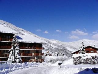 Charmant appart rénové 4 pers, balcon sud, plein centre, proche ski et piscine! - FR-1-342-187 - Arêches - 1