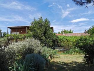 La verdine - Arles - 0