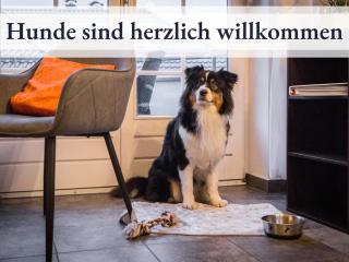 Blumenvilla - 15 Minuten bis zum Heide Park, Haustiere willkommen, Sauna im Gebäude - Schneverdingen - 9