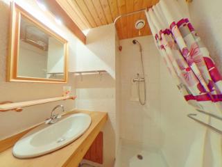 Studio cosy avec terrasse aux Saisies, proche pistes et centre, 3 pers. - FR-1-594-171 - 2