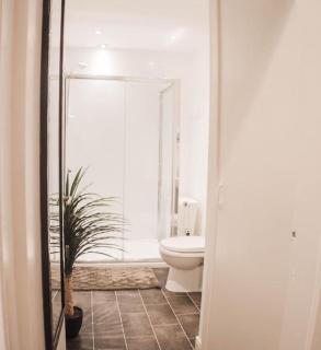 The Scot - Perth - 3