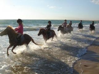 Spacieux 2 pièces avec terrasse, piscine et ascenseur à 400m de la plage - FR-1-307-168 - 1