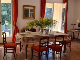 Dream vacation in authentic provencal house - Cotignac - 3