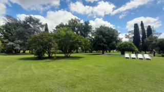 La Guarida Lobos - 9