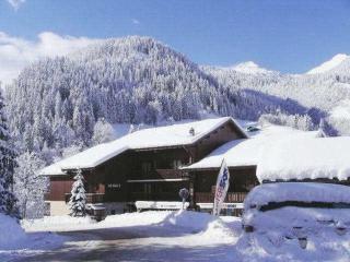 Appartement cosy à Arêches, 50m des pistes, terrasse ouest et piscine l'été - FR-1-342-249 - Beaufort - 3