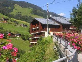 Appartement cosy à Arêches, 50m des pistes, terrasse ouest et piscine l'été - FR-1-342-249 - Beaufort - 1