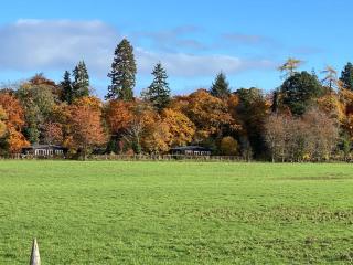 Burnside Chalet on Reelig Estate Near Inverness - Kirkhill - 0
