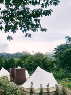 Today's Camp Khaokho ทูเดย์แคมป์เขาค้อ - Khao Kho - 3