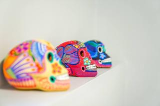 [1] Sugar Skull Sanctuary Walk to MASS/KU/Dining! - 5