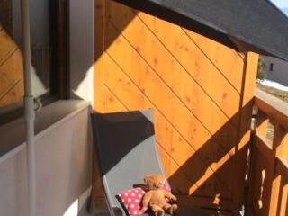 Studio cosy pour 4 à l'Alpe d'Huez, proche télécentre, commerces, terrasse sud, animaux bienvenus - FR-1-405-228 - Huez - 2