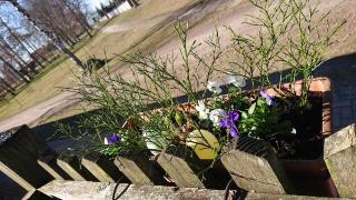 Hotel Schützenhaus Lenzen - 3