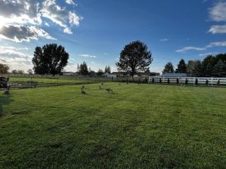 Blackfoot, Idaho, United States - Garden City - 3