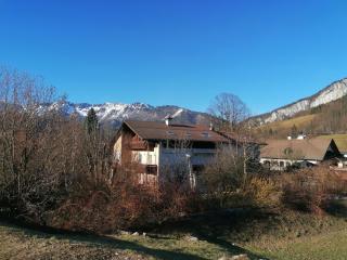Alpenblumal - Bad Goisern - 2