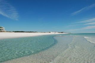 Lucky Dog - Santa Rosa Beach - 4