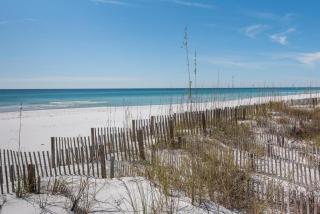 Lucky Dog - Santa Rosa Beach - 5