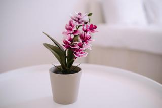 Spring Apartment - Mall Coresi - Brasov - 6