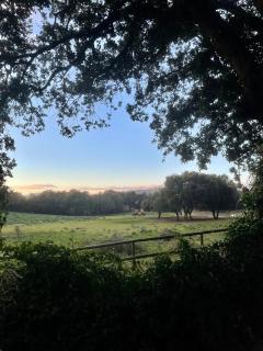 Maison de campagne entre Ajaccio et Porticcio - 9