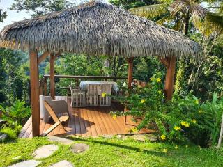 Villa charmante à Petit-Bourg avec piscine privée - Petit-Bourg - 8