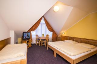 Hotel Helena - 4