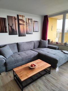 Apartment Hexenstube - traumhafter Ausblick & Pool - Braunlage - 4