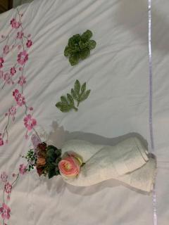 1Bed Apartment - Parking Wifi Balcony Bbq - 6