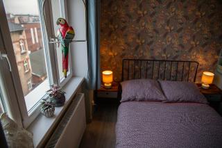 Apartament u Olechny 5 - Bydgoszcz - 1