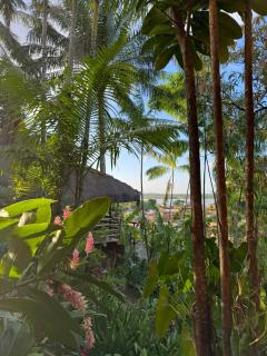 Hostel Zen - Casa na Floresta - Itacaré - 0