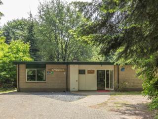 Cozy home with lots of privacy, in the forest - De Bult - 9