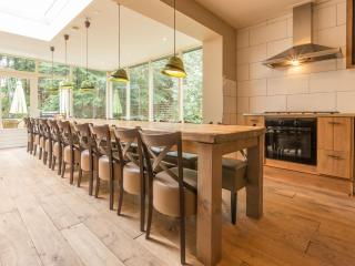 Cozy home with lots of privacy, in the forest - De Bult - 5