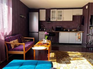 Luxurious Specious appartment - Püssi - 7