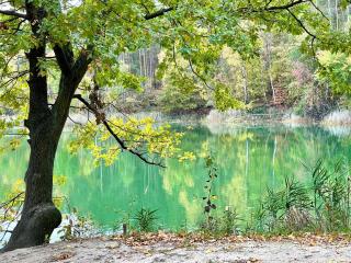 Igelnest Großthiemig - 2