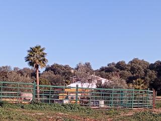 Finca Los Jacaros - 9