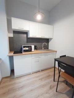 Steelpoint Apartament Łódź Centrum - Łódź - 7