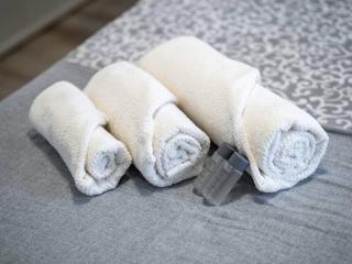 Comfort Business Suite, Wi-fi & 3 stops from Duomo - Milan - 3