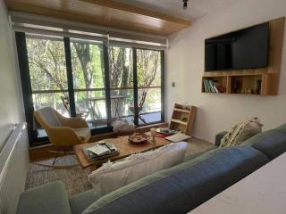 Exclusivo depto en la mejor zona de Pucon - Pucón - 0