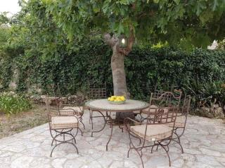 Can Vives - Binissalem - 8