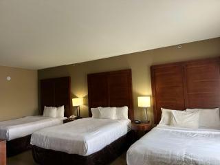Vista Suites Near Island and Leconte Convention Center - Pigeon Forge - 1