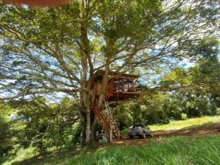 Casa na Árvore sítio Iananda - 0