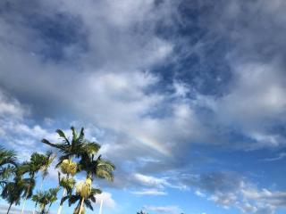 Trinity Beach Oasis - 2