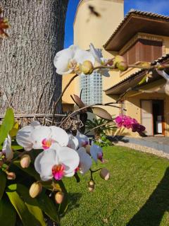 Linda Casa em Florianópolis Paradisíaco - Florianópolis - 4
