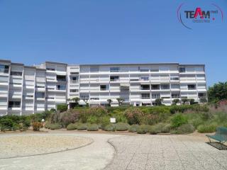 Studio cabine à la plage, parking et animaux acceptés - FR-1-338-552 - Sète - 1