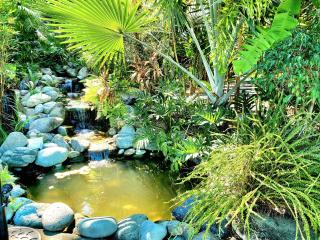 Hidden Palms Inn and Resort - San Juan - 6
