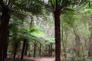 Tiny house at Gilderoy Valley Views - 2