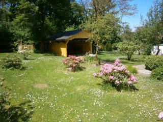 Pension Sander - Bispingen - 8