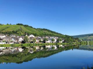 Mosel Fewo43 - Zell an der Mosel - 9